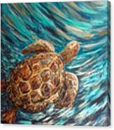 Sea Turtle Wave Guam Canvas Print