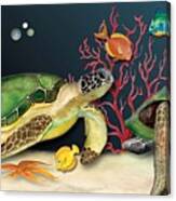 Sea Turtles Canvas Print