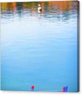 Seagull And Boat Canvas Print