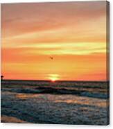 Seagull Sunrise Canvas Print