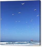 Seagulls And Pier Canvas Print