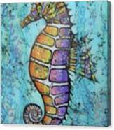 Seahorse Downunder Canvas Print