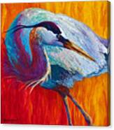 Second Glance - Great Blue Heron Canvas Print