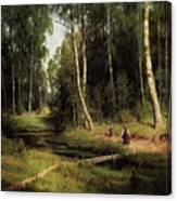 Secrets Of A Birch Forest Canvas Print