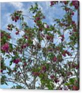 Sedona Lilac Tree Canvas Print