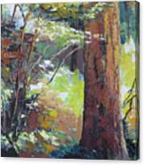 September Woods Canvas Print