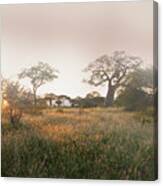 Serengeti Sunrise Canvas Print