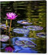 Serenity Canvas Print