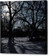 Shadows In January Snow Canvas Print