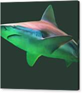 Shark On The Prowl - Perfect Predator Of The Deep Canvas Print