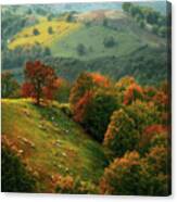 Sheep In Urepel At Autumn Canvas Print