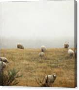 Sheep On A Foggy Morning Canvas Print