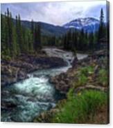 #sheep #river #provincial #park Canvas Print