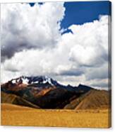 Shepherd And His Flock In The Peruvian Andes Canvas Print