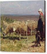 Shepherdess Canvas Print