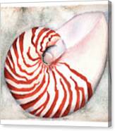 Shimmering Nautilus Canvas Print