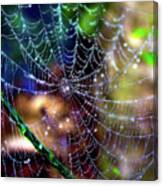 Shimmering Silk Canvas Print