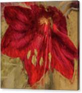Shockingly Red Flower Canvas Print