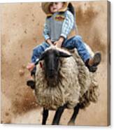 Shoot Low Sheriff They're Riding Sheep Canvas Print