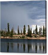 Shoreline Pine Trees And Storm Canvas Print