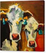 Sibling Cows Canvas Print