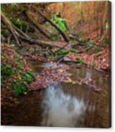 Silent Glowing Fall Canvas Print