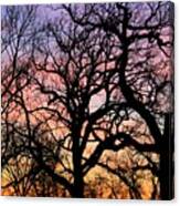 Silhouettes At Sunset Canvas Print