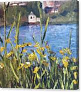 Silver Lake Blossoms Canvas Print