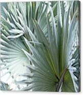 Silver Palm Leaf Abstract Canvas Print