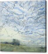 Silver Sky Canvas Print