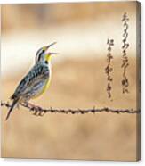 Singing Meadowlark Canvas Print