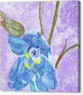 Single Delphinium Flower Canvas Print