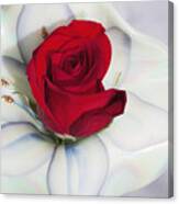 Single Red Rose In Fenton Vase Canvas Print
