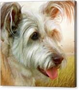 Skye Terrier Canvas Print