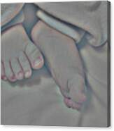 Sleepy Feet Canvas Print