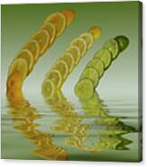 Slices  Grapefruit Lemon Lime Citrus Fruit Canvas Print