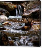 Small Falls Canvas Print