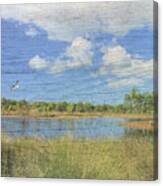 Small Pond With Weathered Wood Canvas Print
