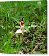 Small World - Waiting In The Woods Canvas Print