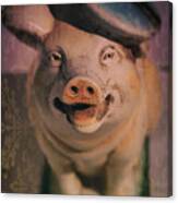 Smiling Pig Canvas Print
