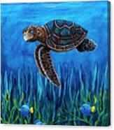 Smirking Turtle Canvas Print