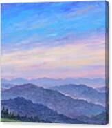 Smoky Mountain Wildflowers - Panorama Canvas Print