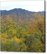 Smoky Mountains National Park 5 Canvas Print