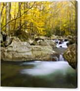 Smoky Mountains River Canvas Print