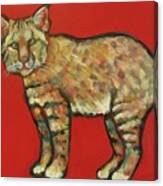 Smug Bobcat Canvas Print