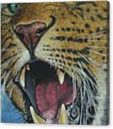 Snarl...amur Leopard Canvas Print