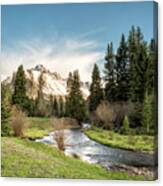 Sneffels And Spring Stream Canvas Print
