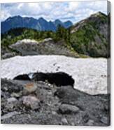 Snow Cave At Artist Point Canvas Print