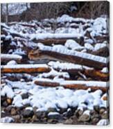 Snow Covered Logs Canvas Print