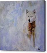 Snow Fox Canvas Print